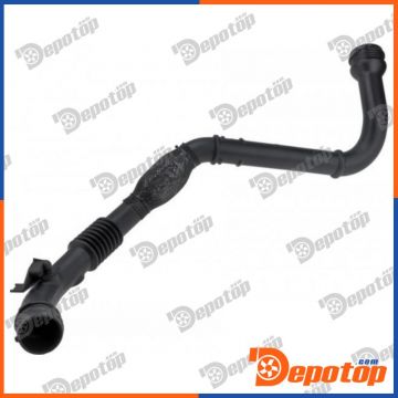 Gaine de suralimentation pour RENAULT | GPP-RE-028, 09-0531
